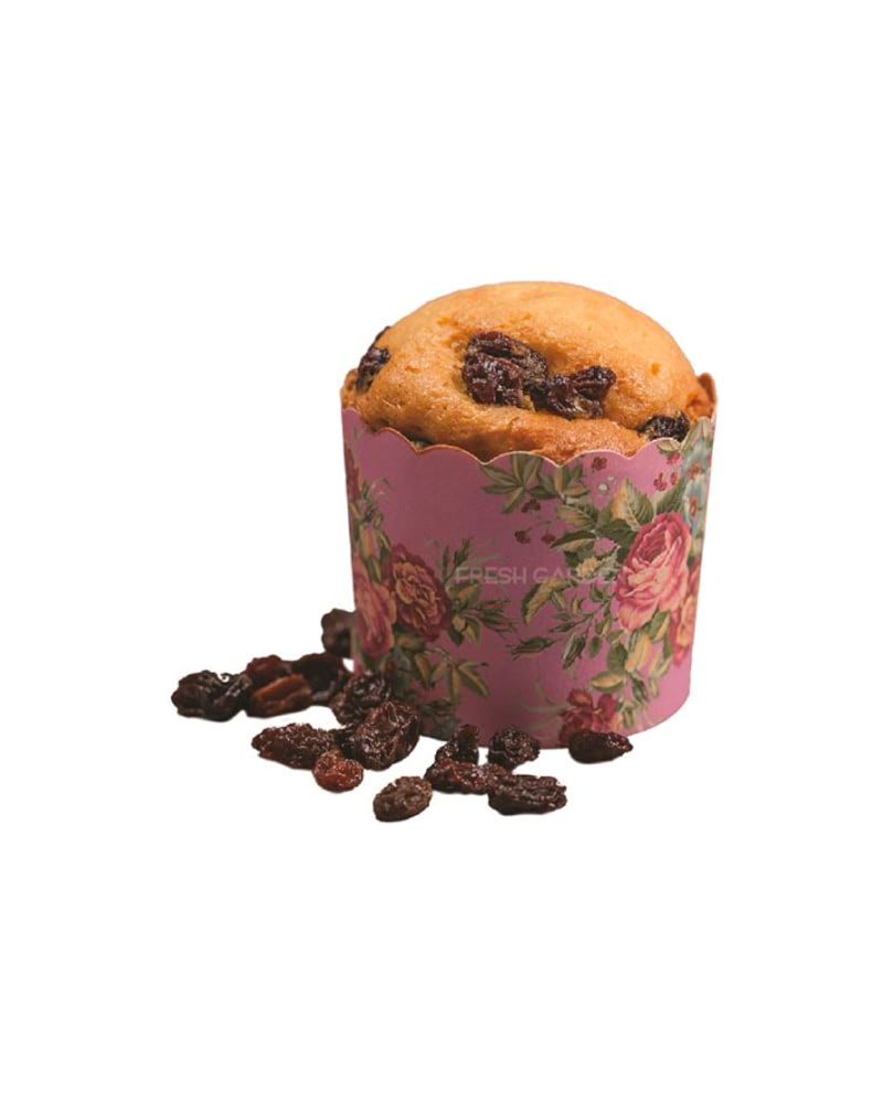 Chocolate Muffin